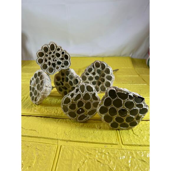 Vintage Lotus Seed Pod Floral Picks Christmas Holiday White Silver Set - Picture 2 of 16